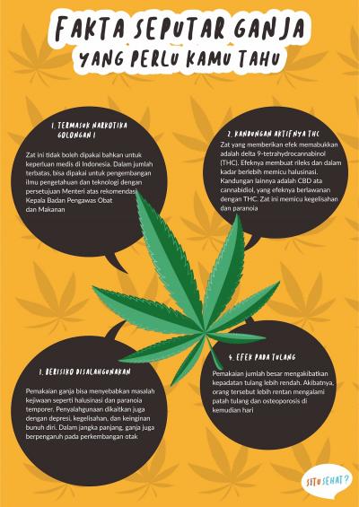 Fakta Seputar Ganja yang Perlu Kamu Tahu
