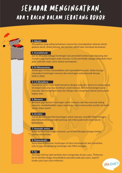 9 Racun dalam Sebatang Rokok